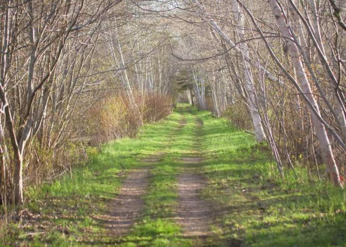 Upper Clements Cottages & RV Park Annapolis Royal Buitenkant foto