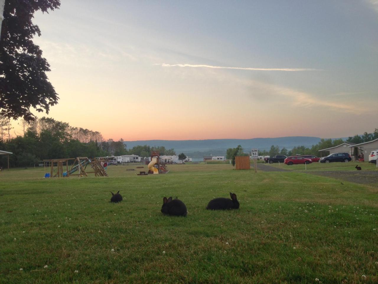 Upper Clements Cottages & RV Park Annapolis Royal Buitenkant foto
